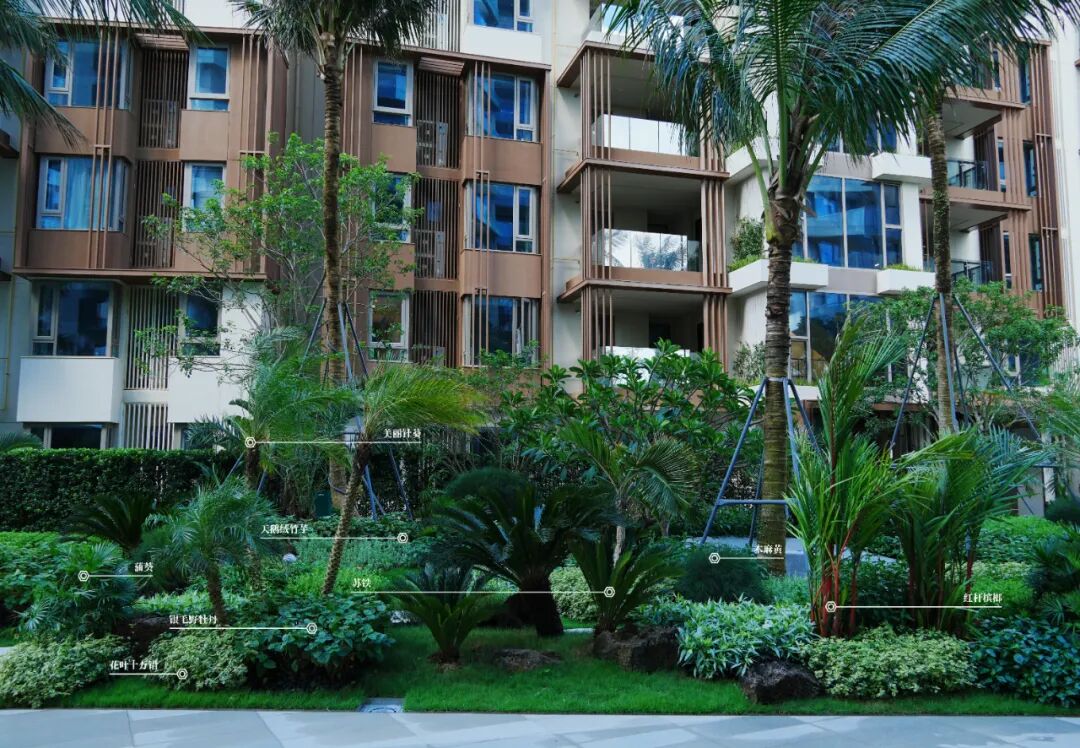于热带秘境中编织生活美学|江东麓岛阅海澜岸2期花境项目-91