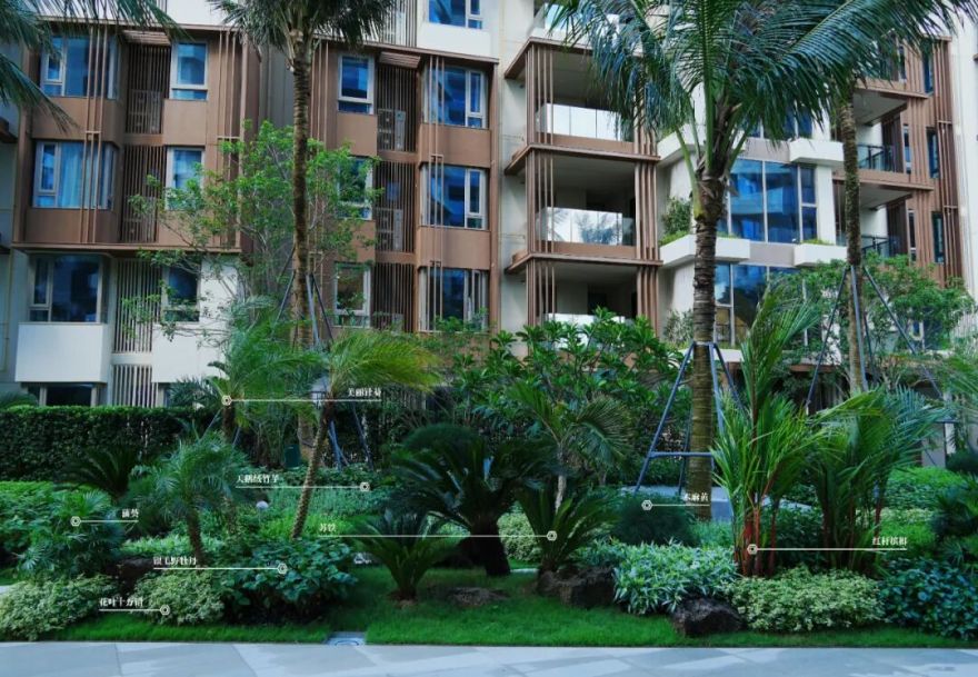 于热带秘境中编织生活美学|江东麓岛阅海澜岸2期花境项目-91