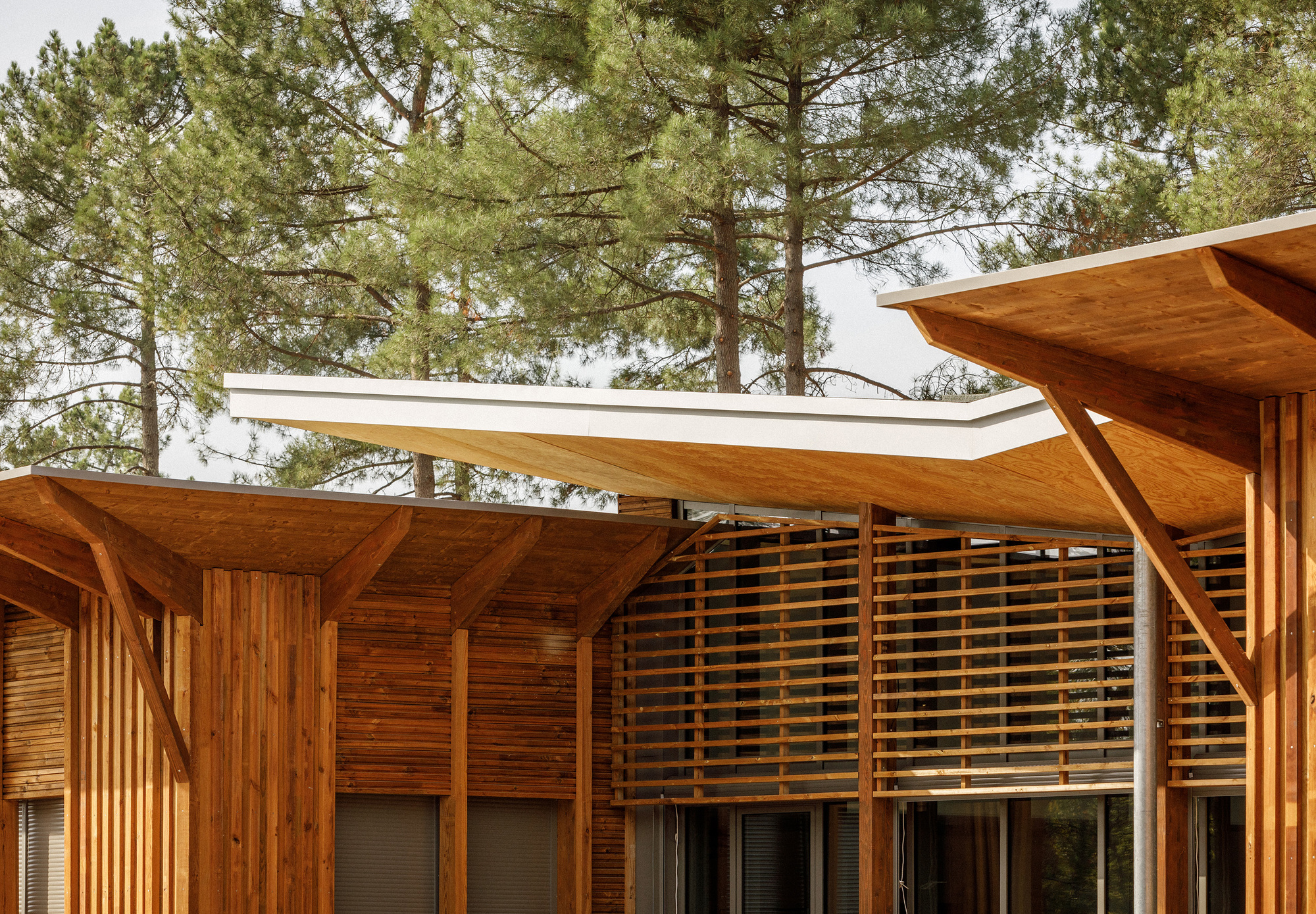 片梅多克初级中学丨法国丨BPM Architectes-17