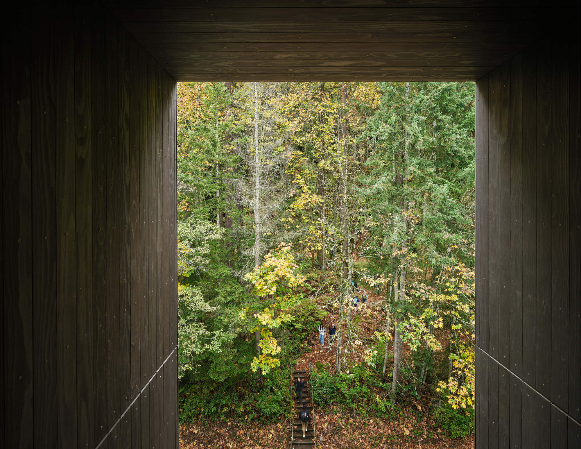 Kaiser Borsari Hall - Western Washington University / Perkins&Will-38