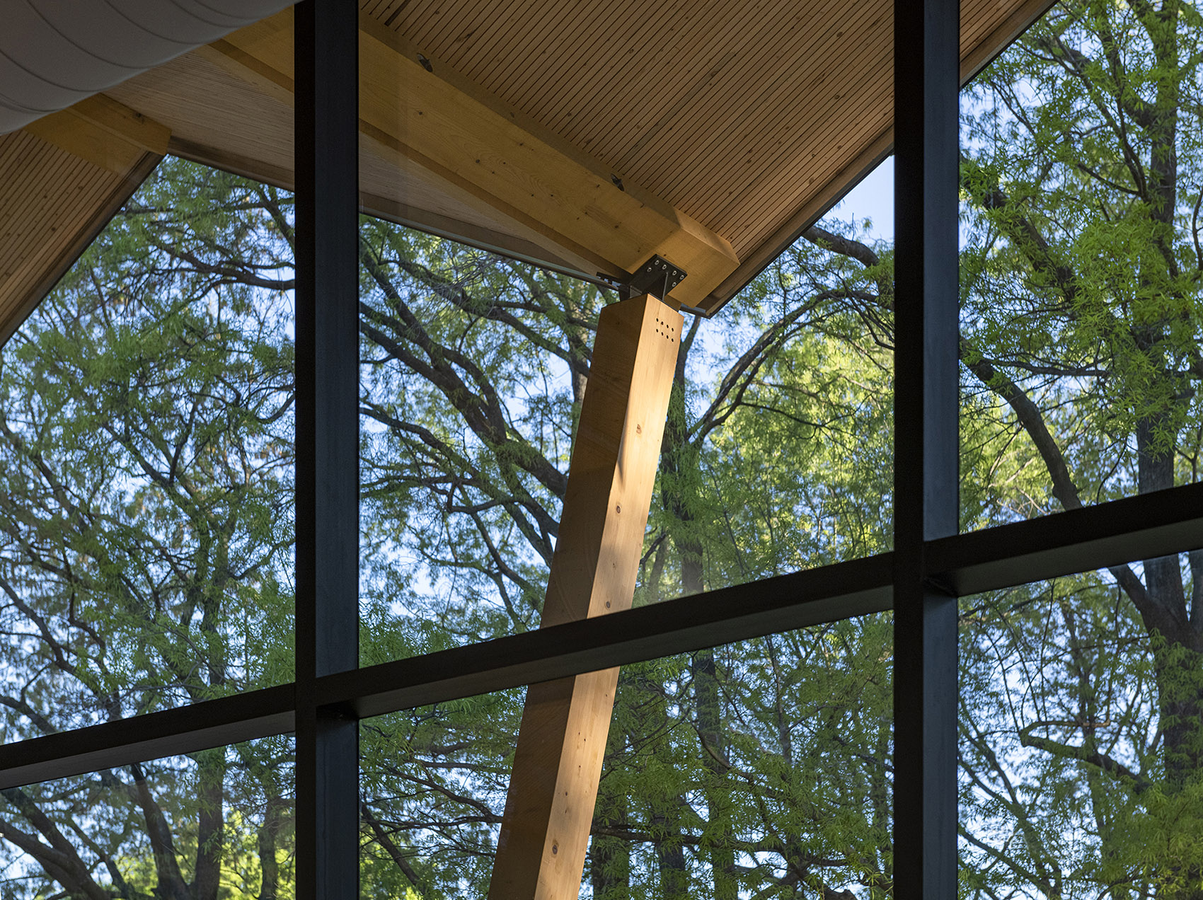 华盛顿特区公共图书馆西南馆丨美国华盛顿丨Perkins&Will-21