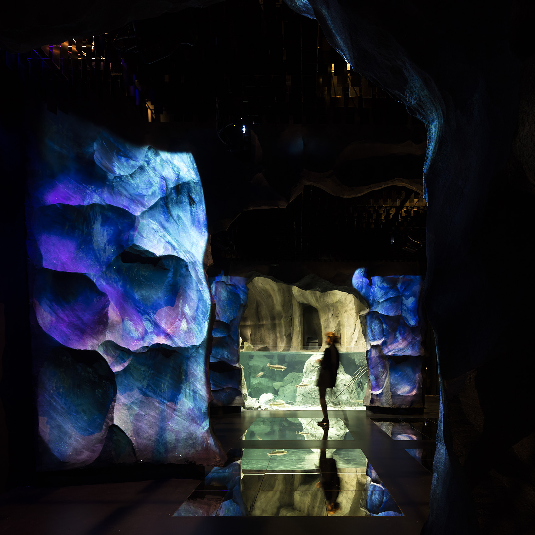 Aquatis综合体，瑞士洛桑 /Richter Dahl Rocha & Associés Architects-27