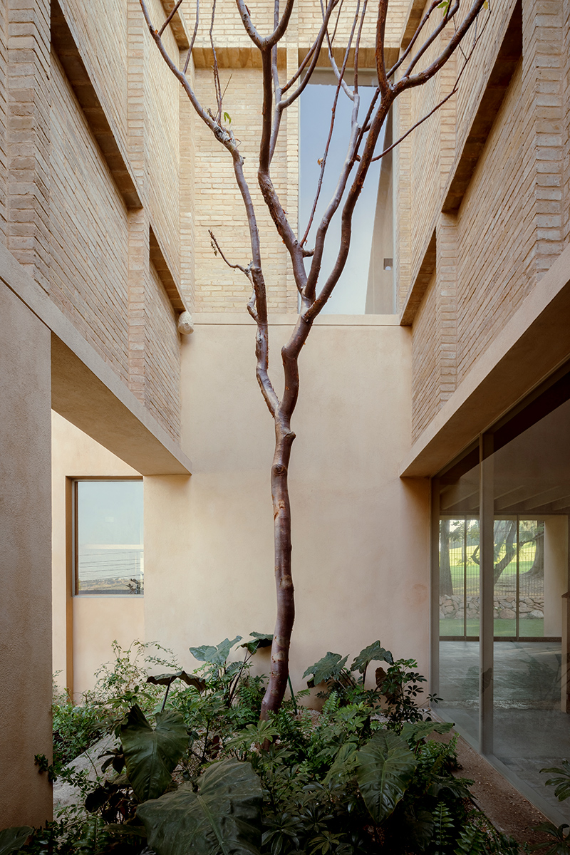 古斯曼·希门尼斯之家丨墨西哥丨Estudio Macías Peredo-4