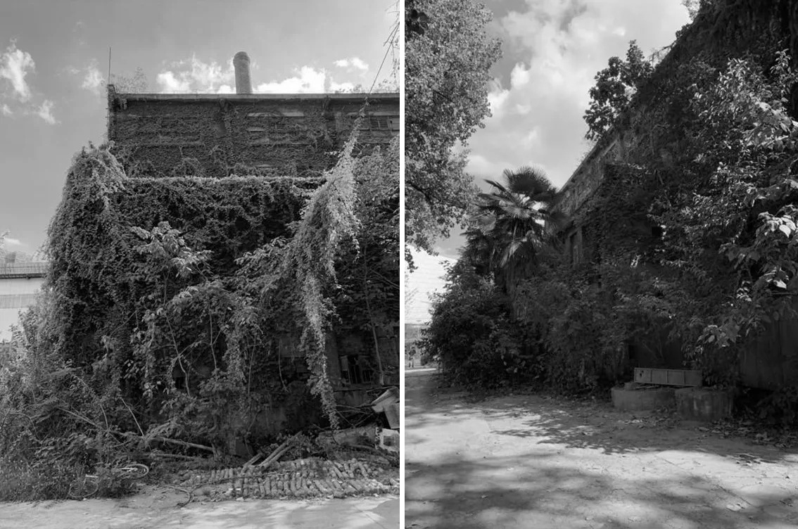 汉阳铁厂改造先导区融创1890丨中国武汉丨上海日清建筑设计有限公司-31