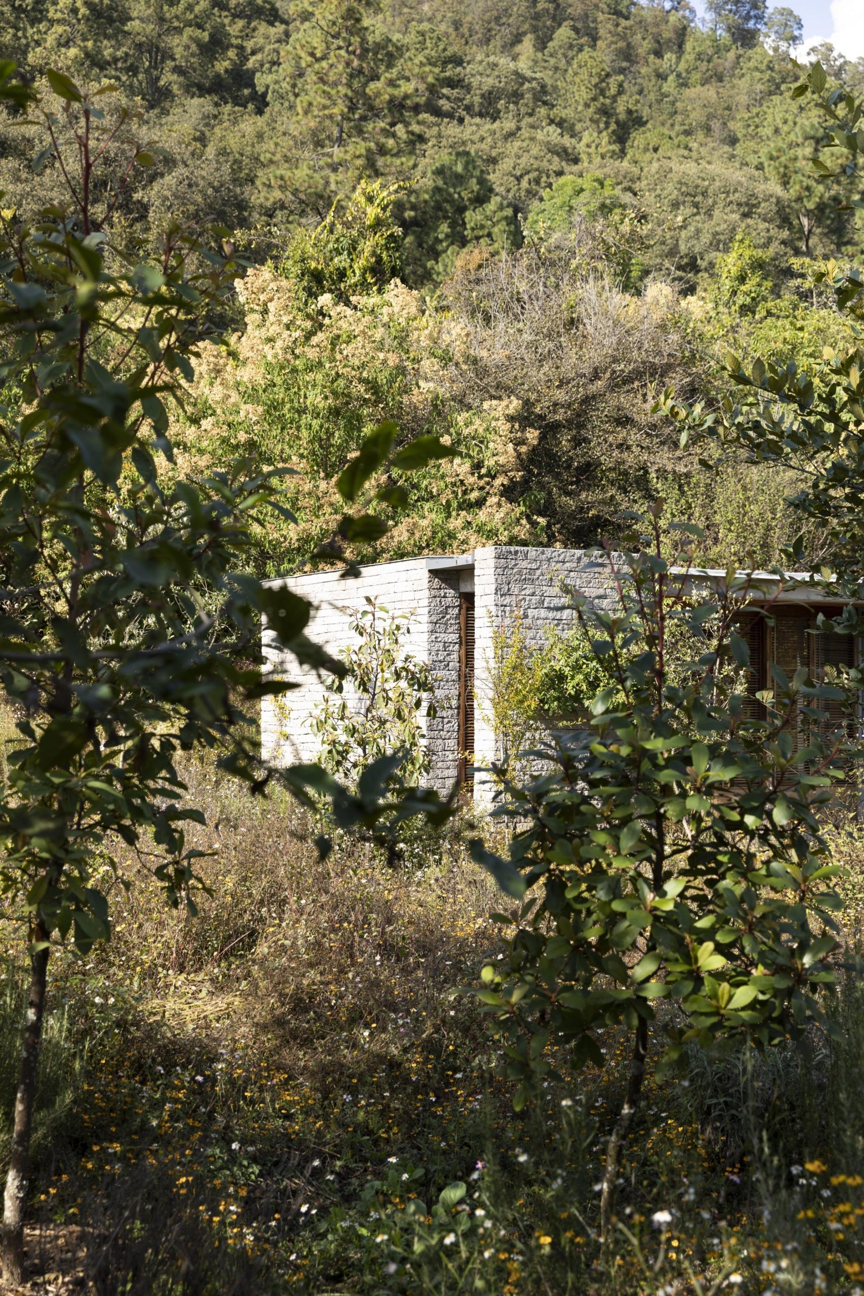 草甸景观设计-11