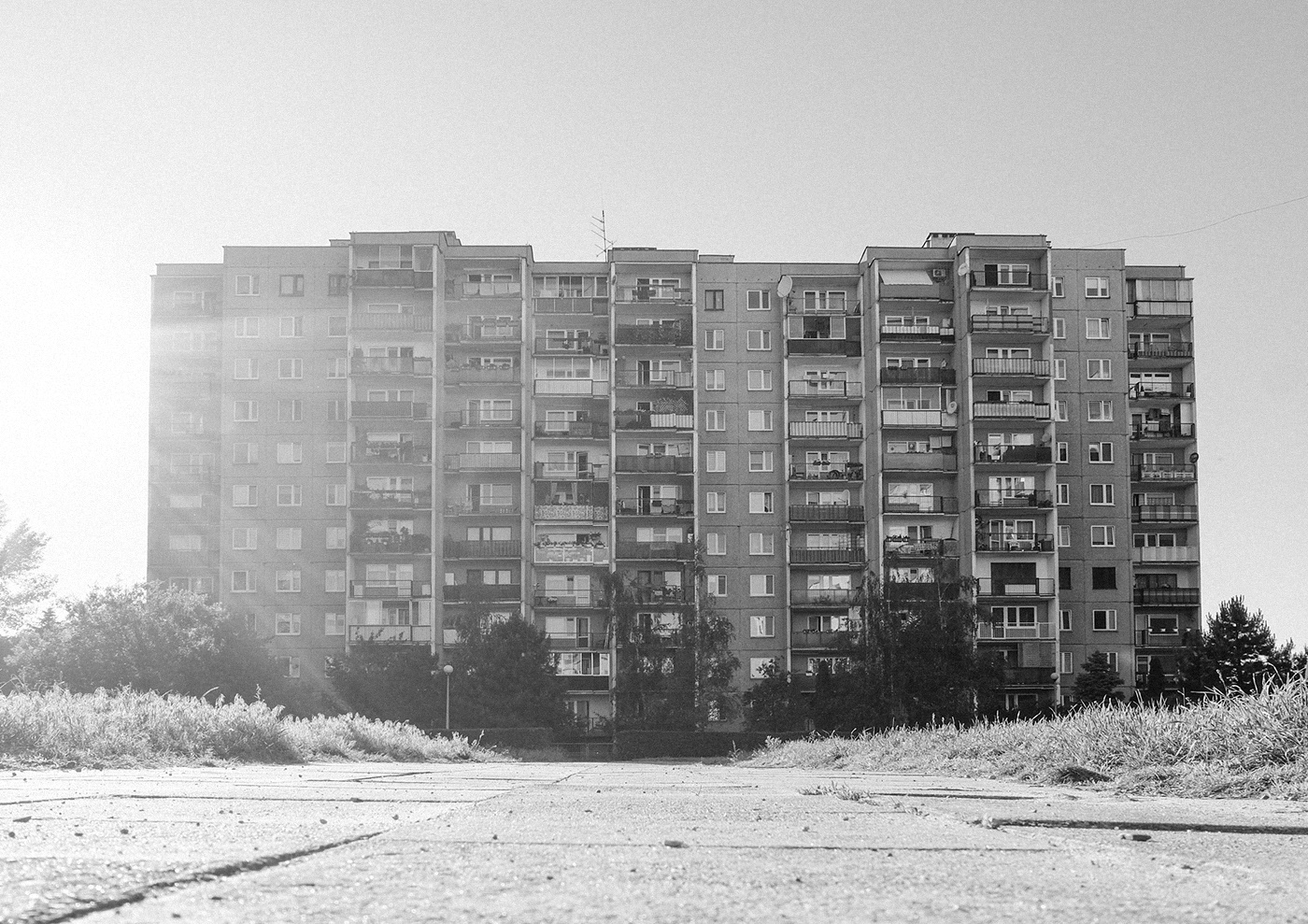 Photoshot vol.2 Warszawa-8