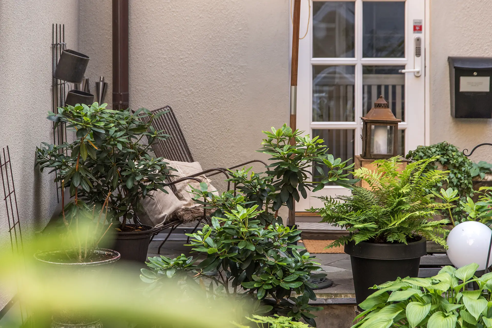 1882 年的瑞典老马厩，如何变身城市绿洲？-21