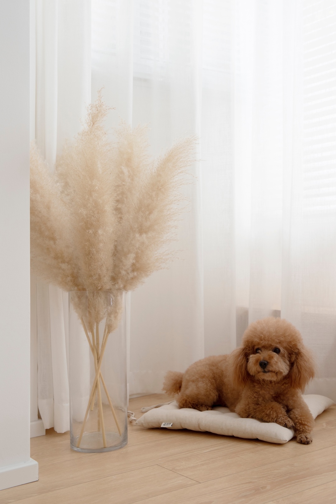 50㎡极简日系风 · 老破小变身明亮温馨居所丨中国杭州丨MAI architects-67