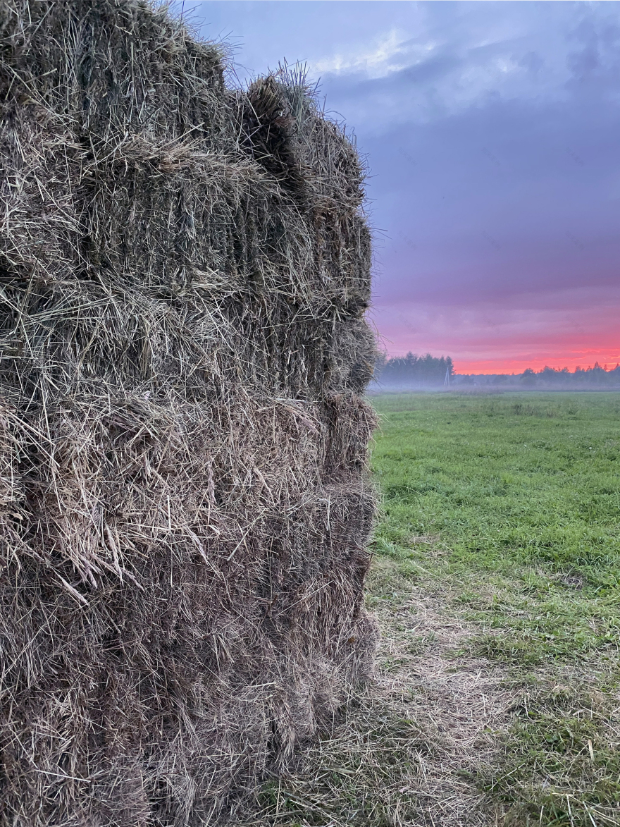软角亭丨俄罗斯丨whitelakewhitelake-33