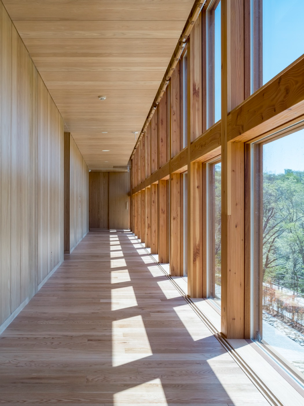 禅意空间 · 坂茂悬浮森林木结构禅修场丨日本兵库-38