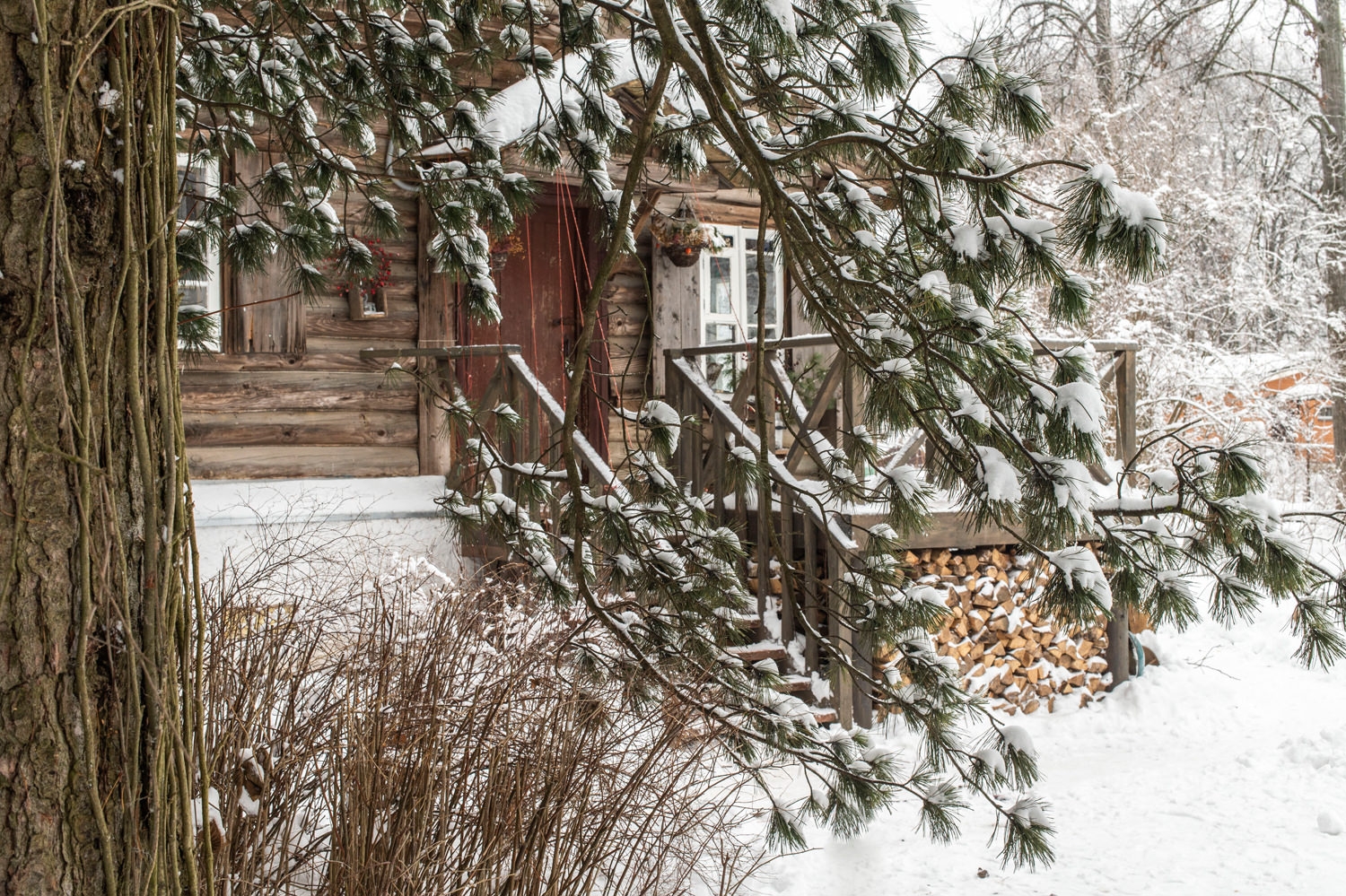 “Доме Ракицкого”（拉基茨基之家）项目丨俄罗斯丨Женя Жданова（珍娅·日丹诺娃）,景观工作室МОХ-13