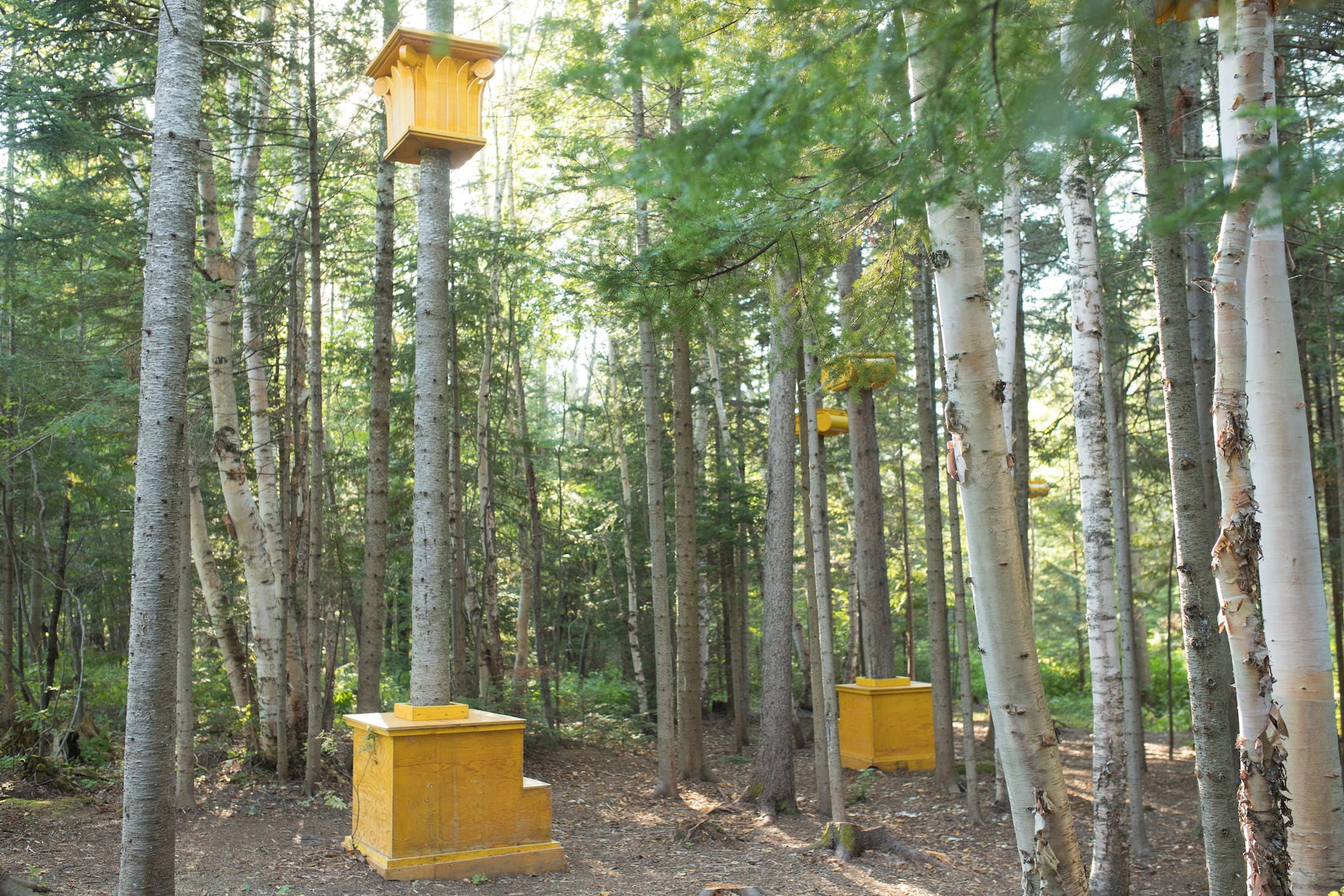 2019加拿大国际花园节(第二部分),Reford Gardens-73