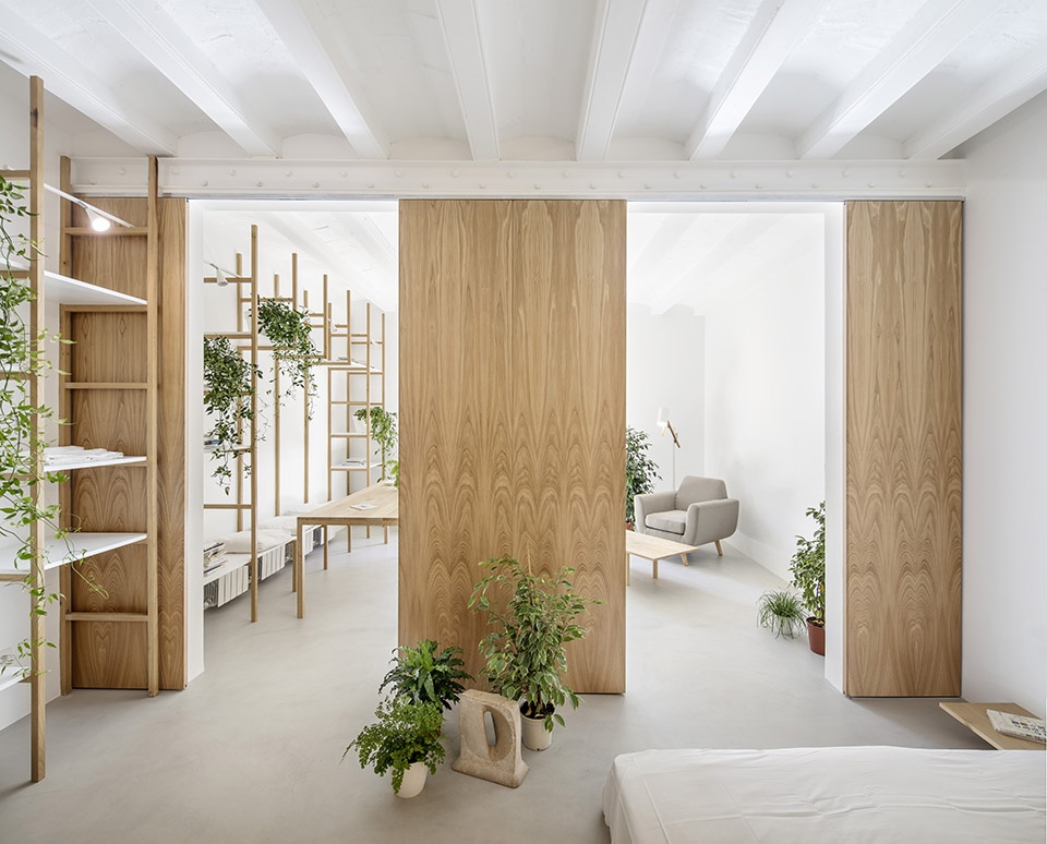 巴塞罗那十九世纪阁楼住宅,空间重塑与自然融合-14