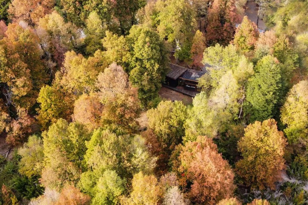 智利 118m²森林木屋丨勾勾手设计网-13