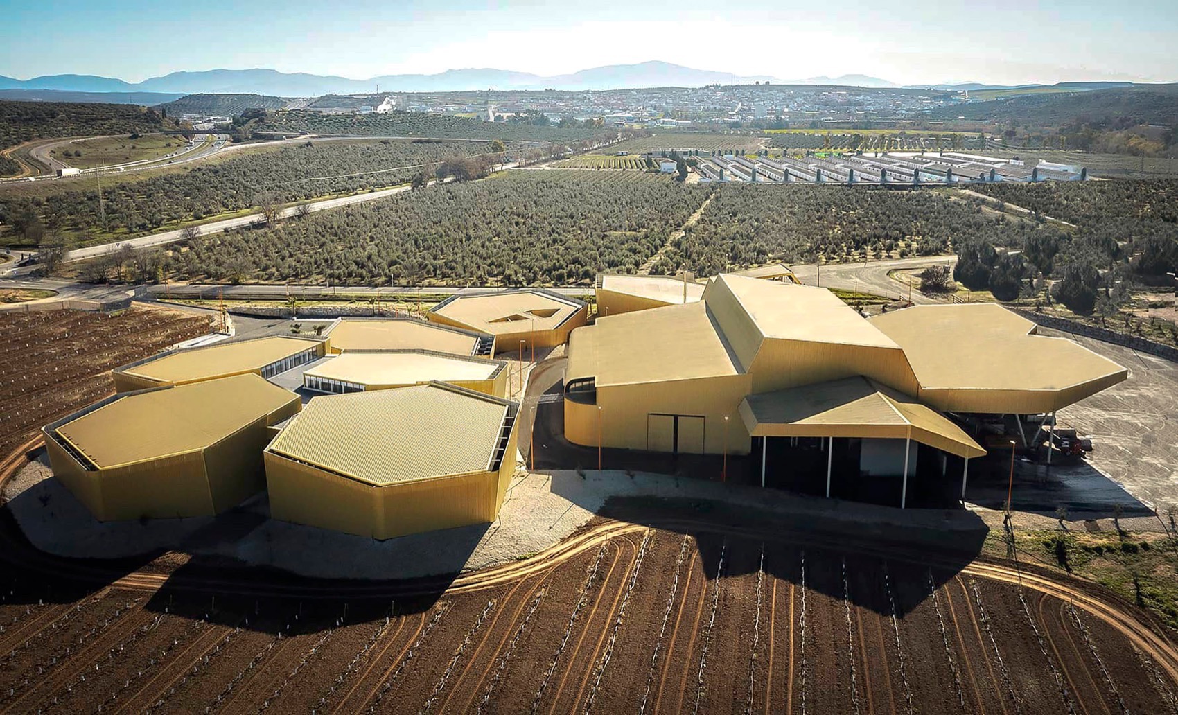 Acesur橄榄油榨油厂丨Mollinedo Arquitectura-4