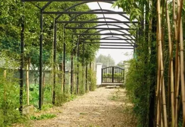 一家3口逃离都市，包下30亩地爆改老房子，有人开车2小时只为在这睡一觉-100