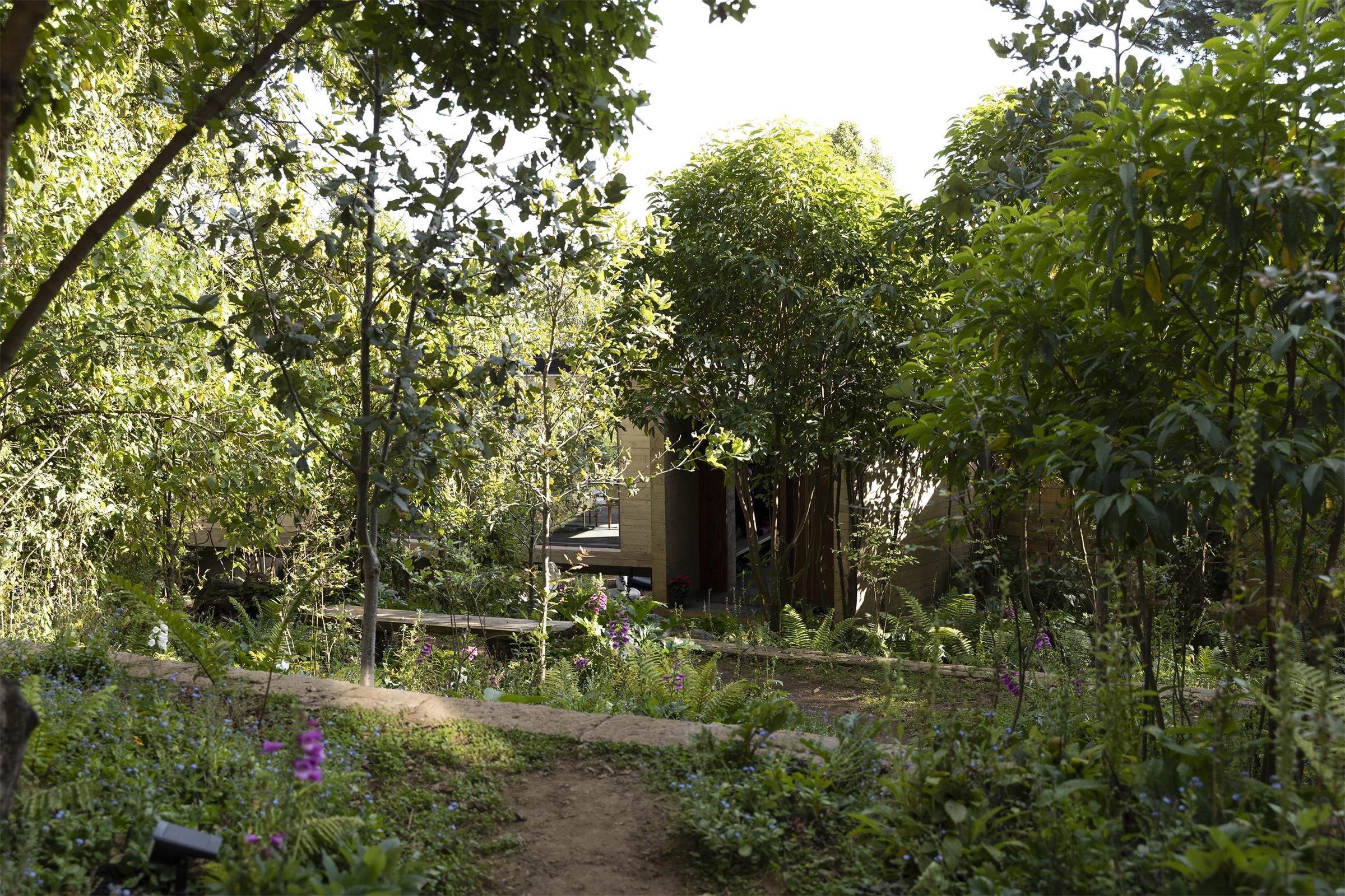 墨西哥森林花园-42