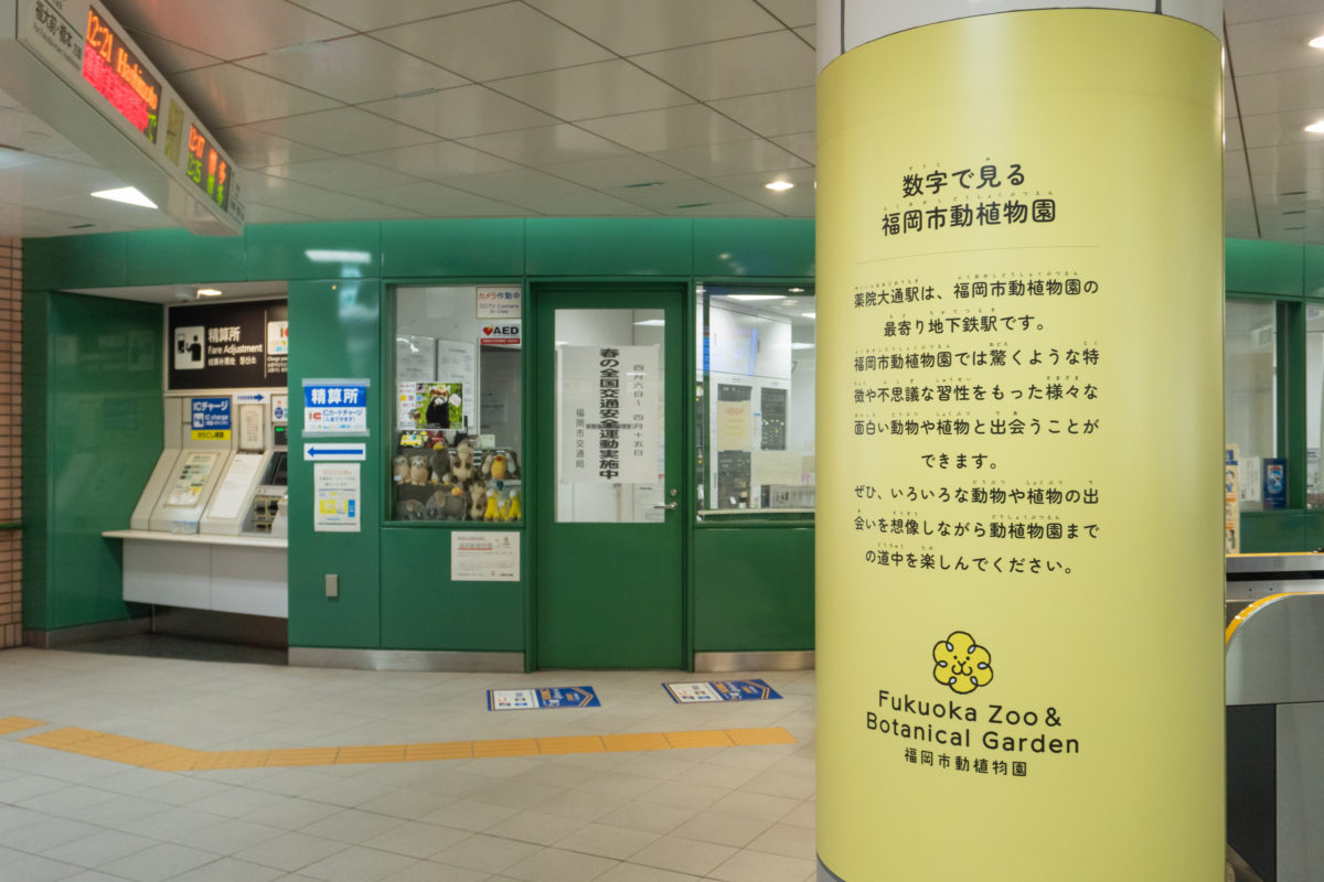 薬院大通駅  福岡市動植物園特別装飾丨anno lab-24