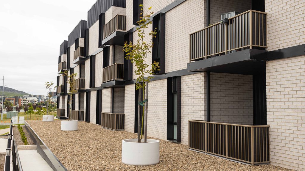 米莉 – DNA建筑师（米莉）丨澳大利亚堪培拉-4