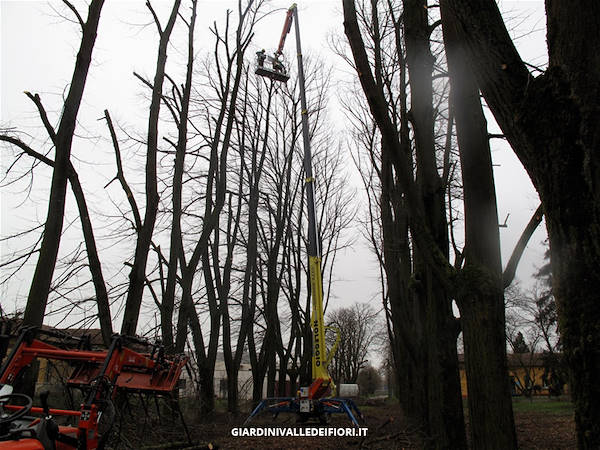 历史公园改造-14