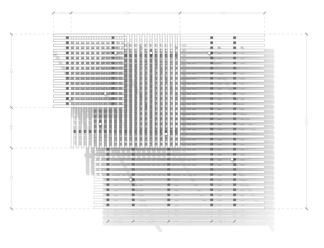 PINETUM Francesco Librizzi Studio-9