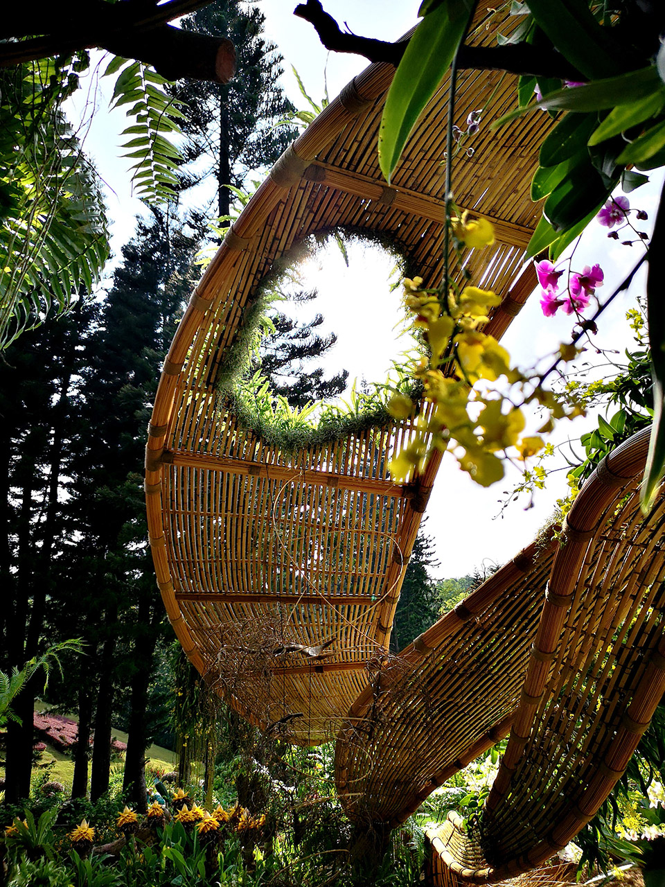 深圳 “种子”现代竹编装置-69