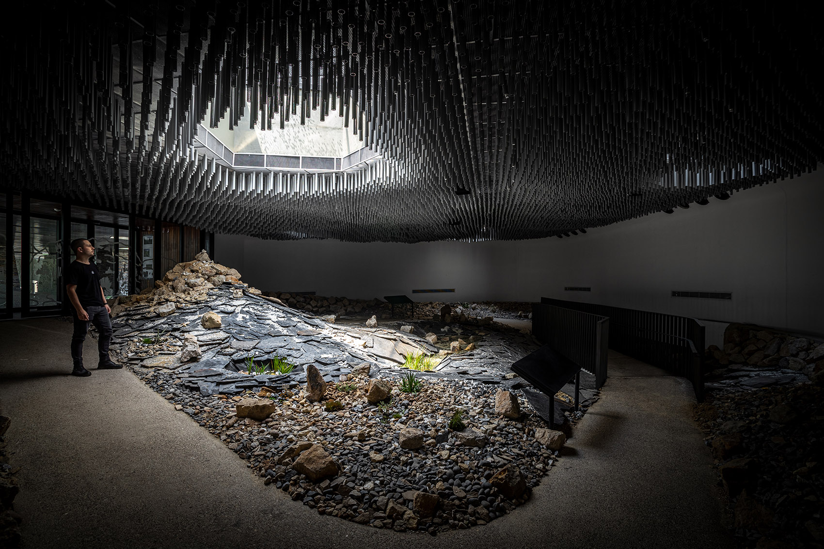 圣菲波哥大热带植物园丨哥伦比亚丨DARP-54