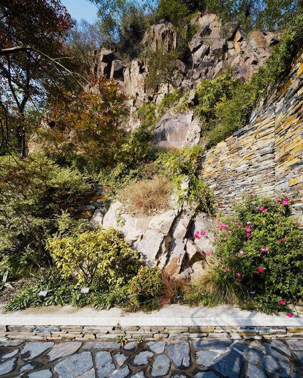 上海植物园采石场花园丨中国上海丨THUPDI与清华大学-30