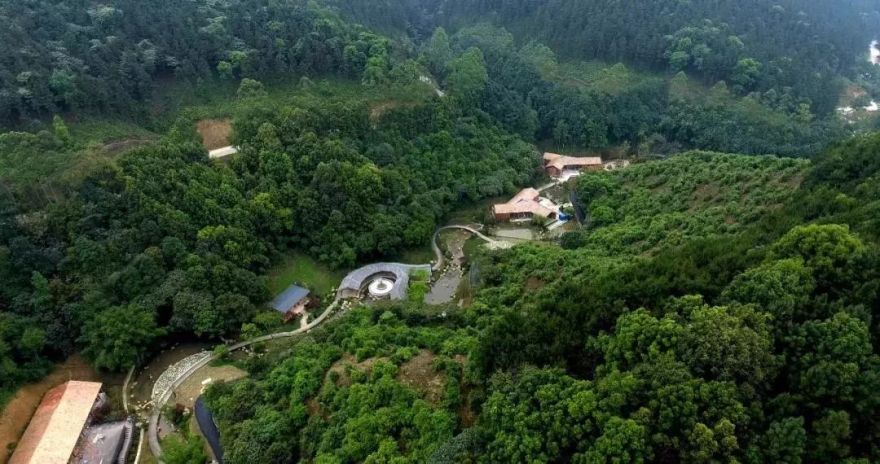 广西高峰森林公园-14