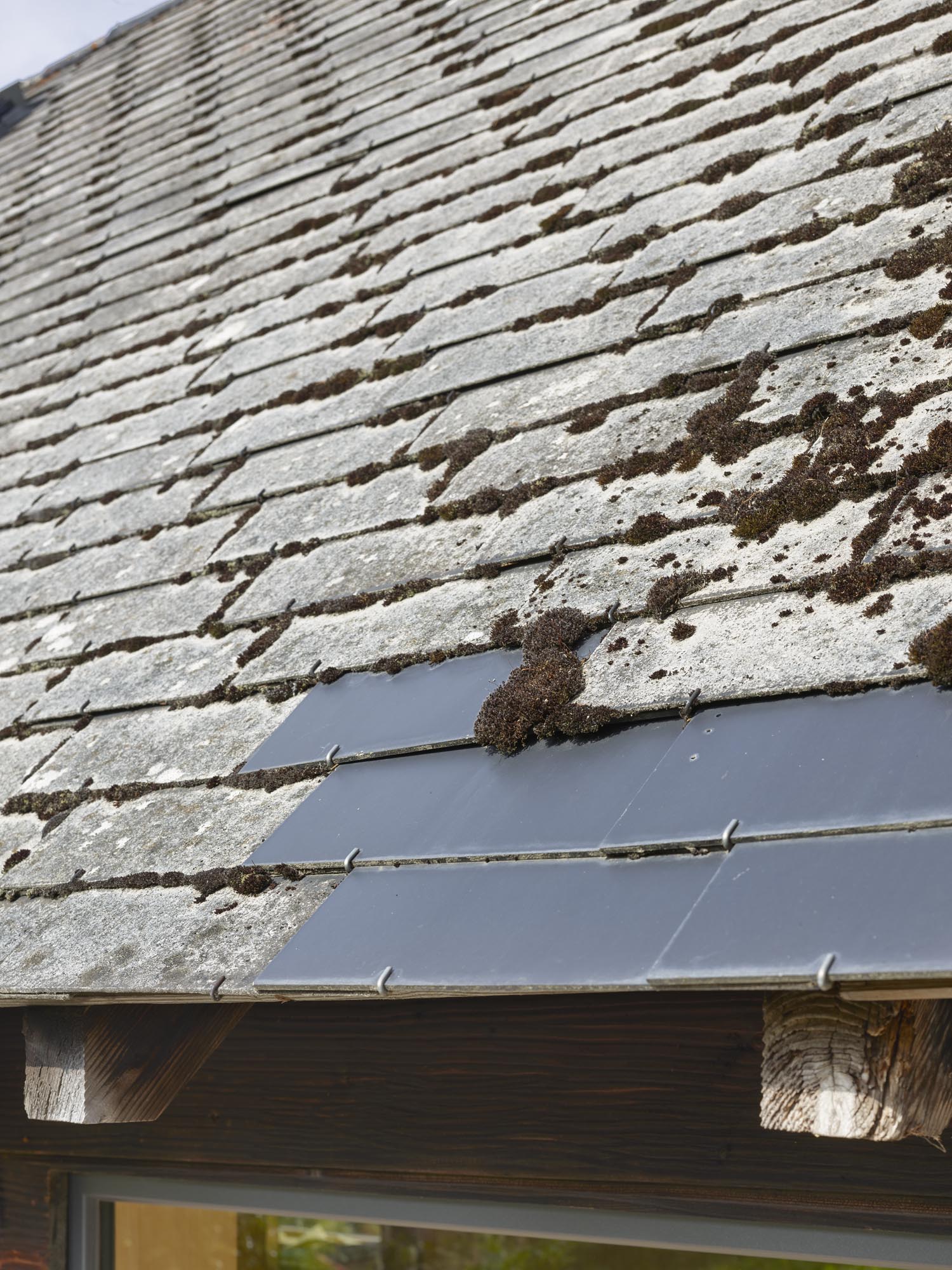德国黑森林 1000 米高空的环保小屋-40