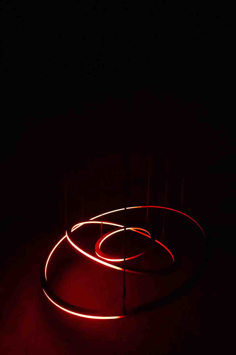 《暗物质2026  四季森林》展览丨德国丨Christopher Bauder + Chris Kuijten-69