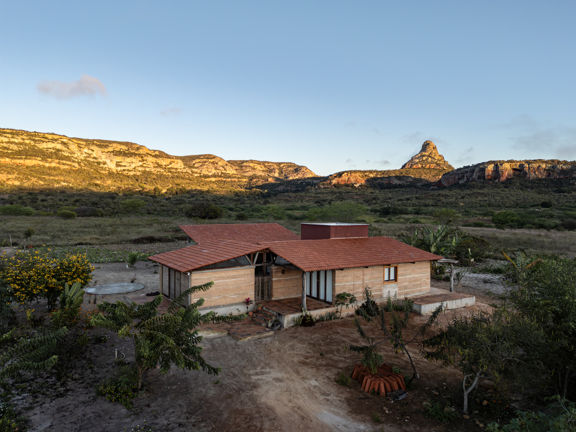 丨巴西伯南布哥丨AzulPitanga-40