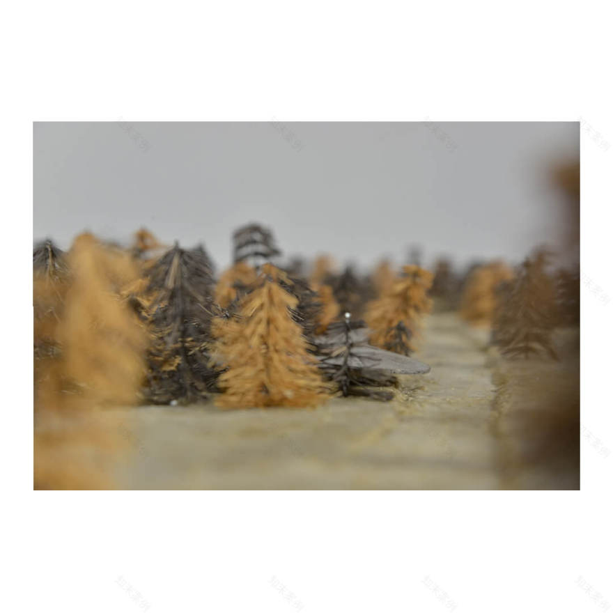 德国奥伯阿默高飞蝇钓鱼学院设计丨Alex Noworzyn,André Tenkamp-10