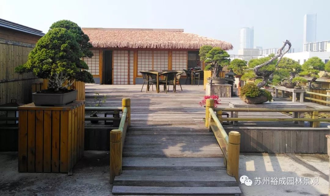 禅意屋顶花园,品茗抚琴如诗如画-0