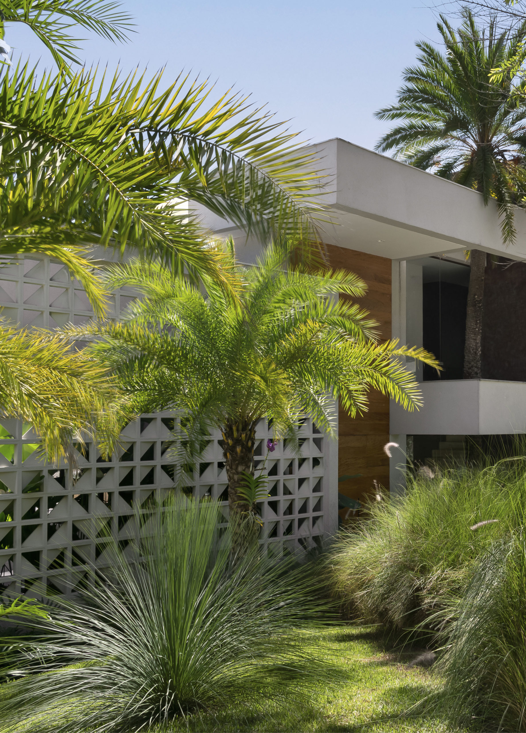 Jardim tropical e integrado à arquitetura em casa mineira - Conexão Decór-5