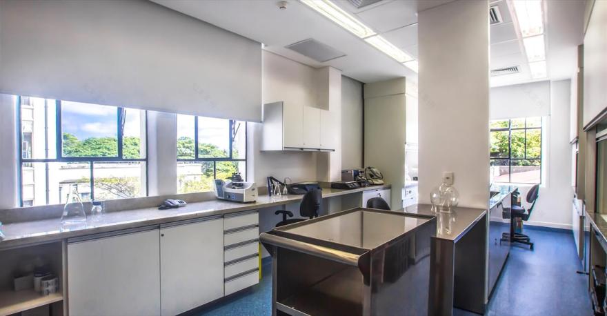 巴西 SP 神经放射学实验室改造,现代设计与环保理念的完美结合-3