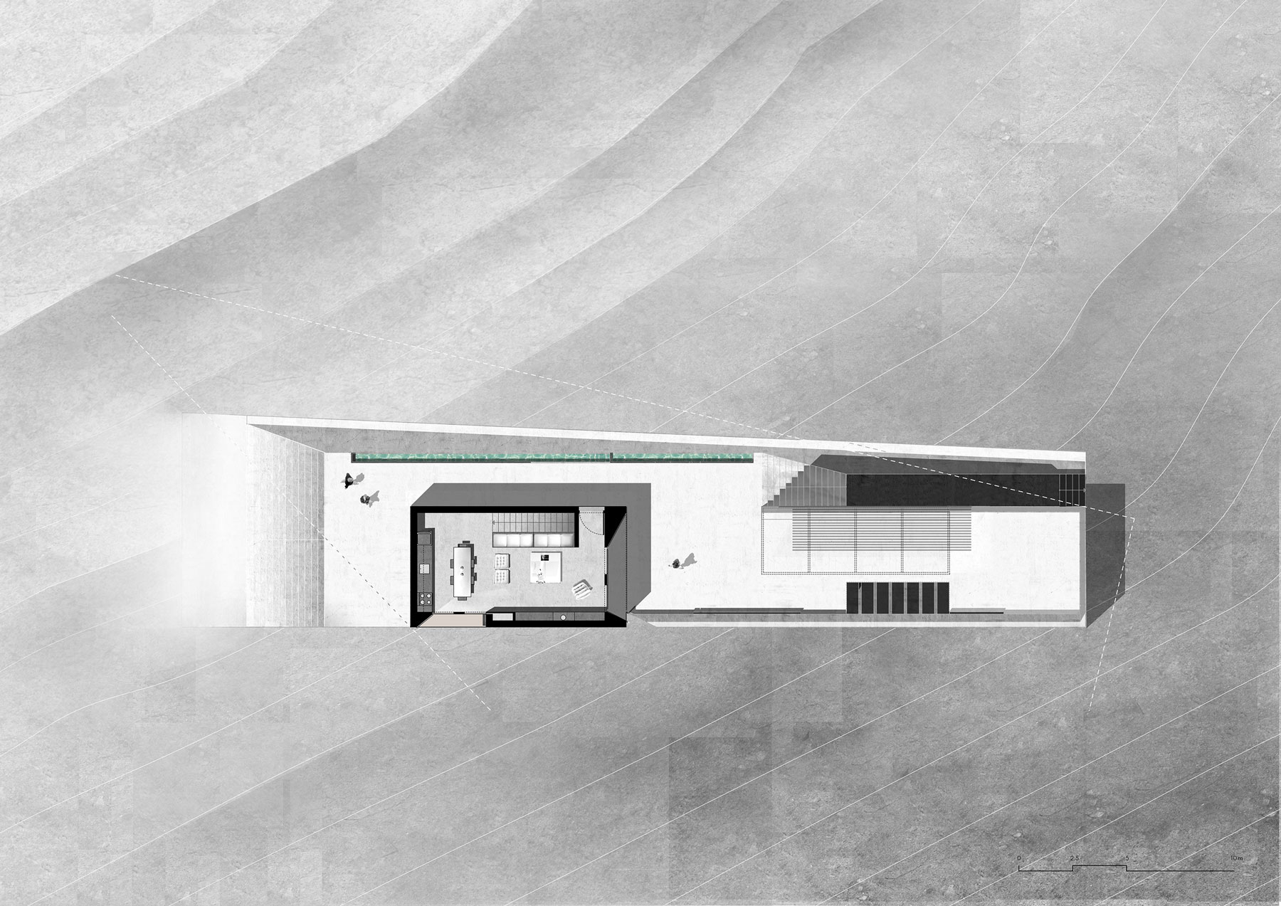 House Mold Architects-6