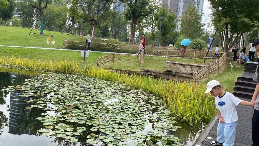 运河亚运公园 (拱墅区运河体育公园)丨中国杭州丨景观概念AECOM,景观深化杭州园林设计院等多家-48