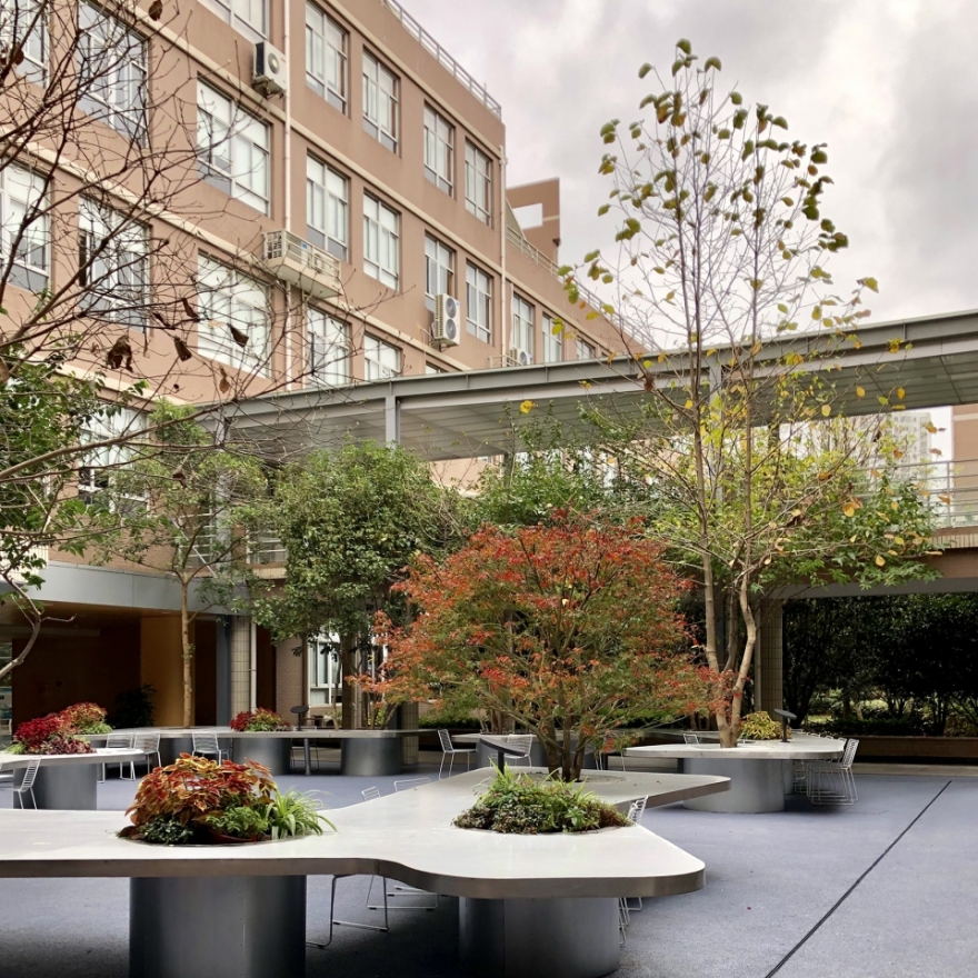 上海市实验学校中心庭院改造丨大观(上海大观景观设计有限公司)-52