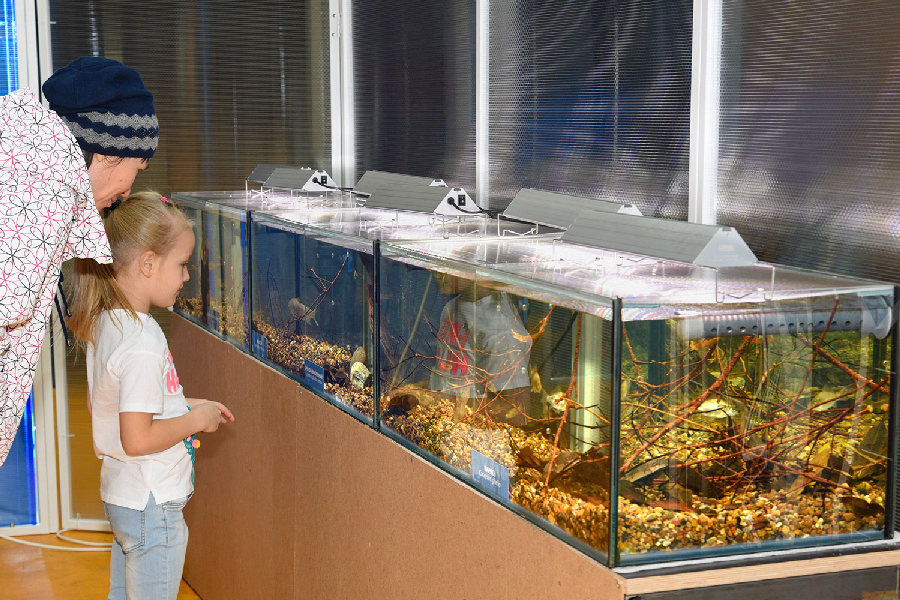 “Жизнь большой реки”（《大河的生活》）移动展览丨Аква Лого Инжиниринг（阿夸·洛戈工程公司）-33