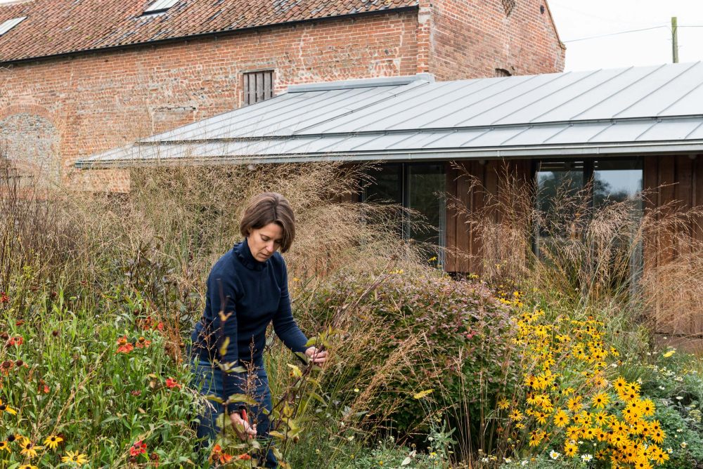 我的现代之家：景观设计师艾米丽·埃勒姆的田园诗般的诺福克谷仓改造-0