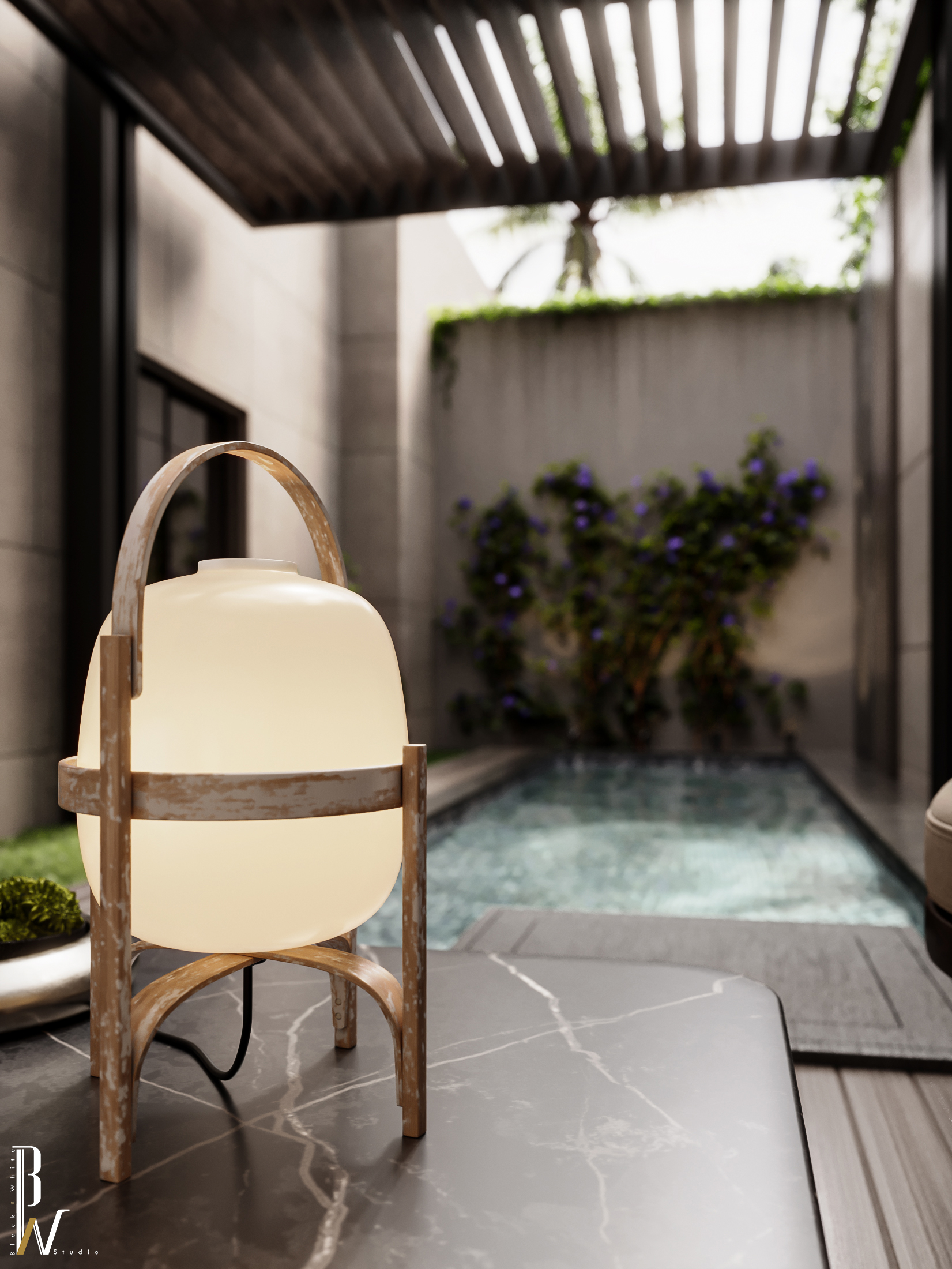 庭院景观丨埃及丨Black N White-13