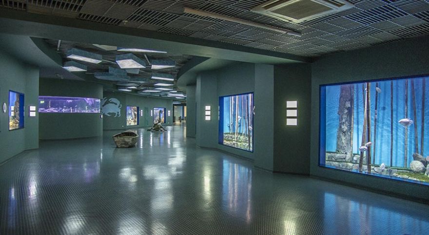 “Moskvarium”海洋馆丨俄罗斯莫斯科丨Aqua Logo Engineering-49