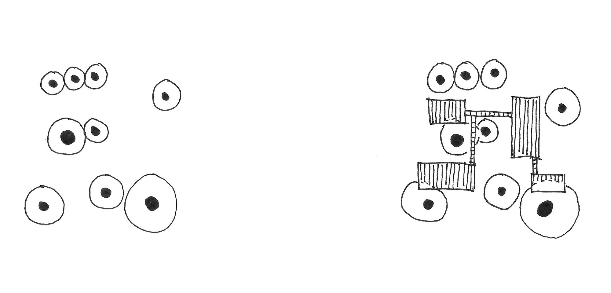 Costa Rica Athletic Center / Studio Saxe-49