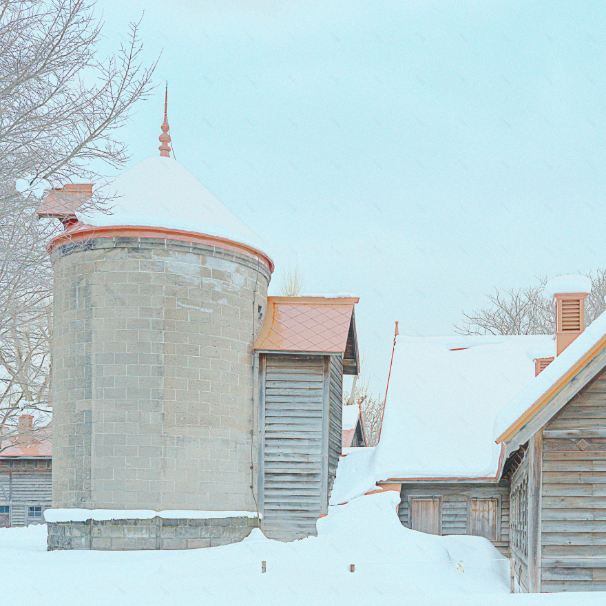 戴宁诺乔,模型谷仓丨日本-3