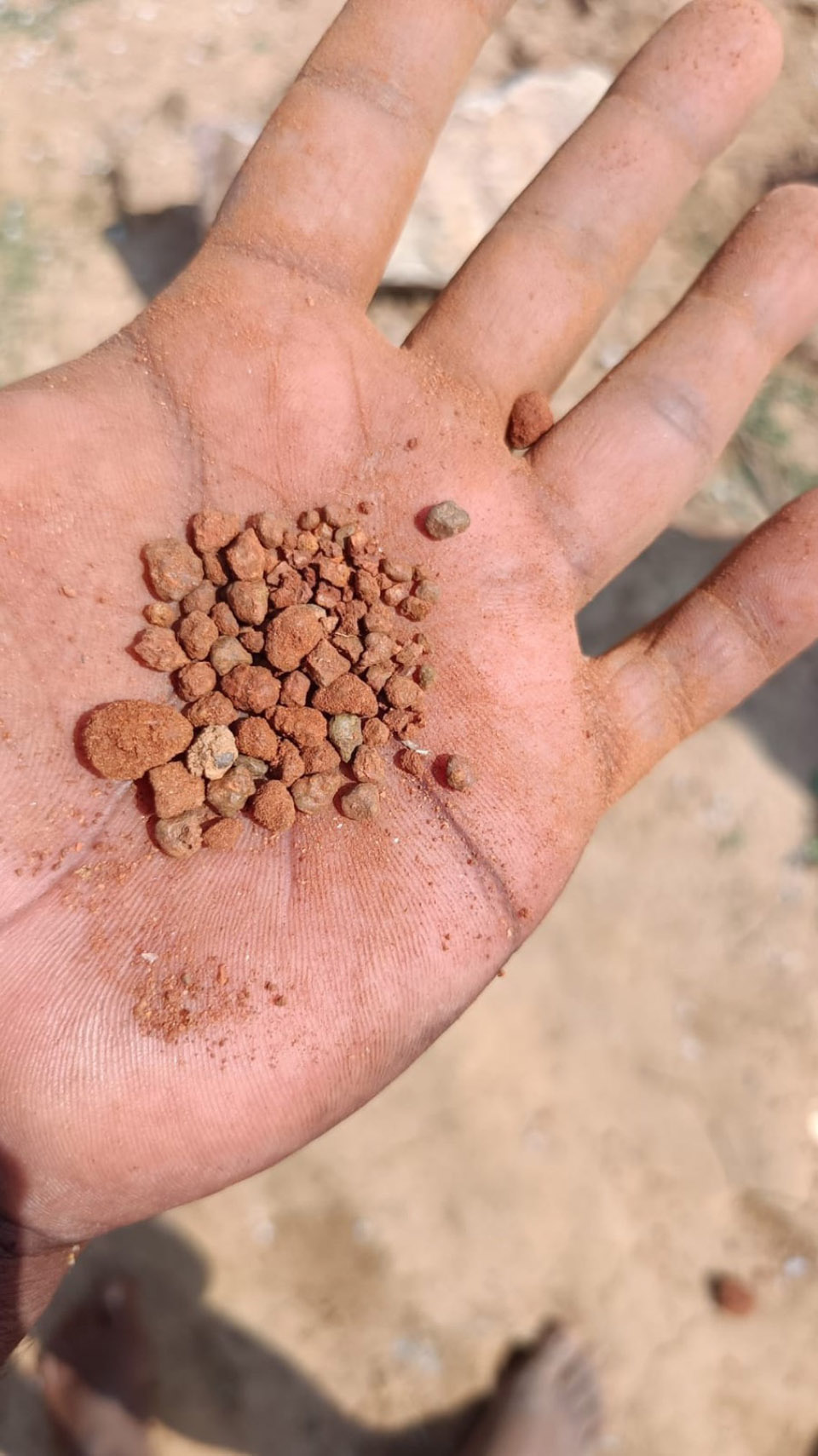 Aurva Illam住宅丨IKI Builds-193