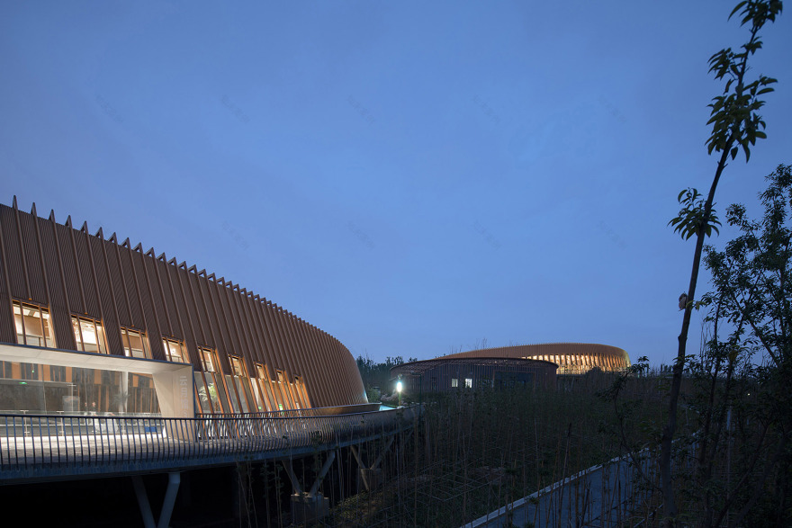 成都熊猫新舍丨中国成都丨EID Arch姜平工作室-33