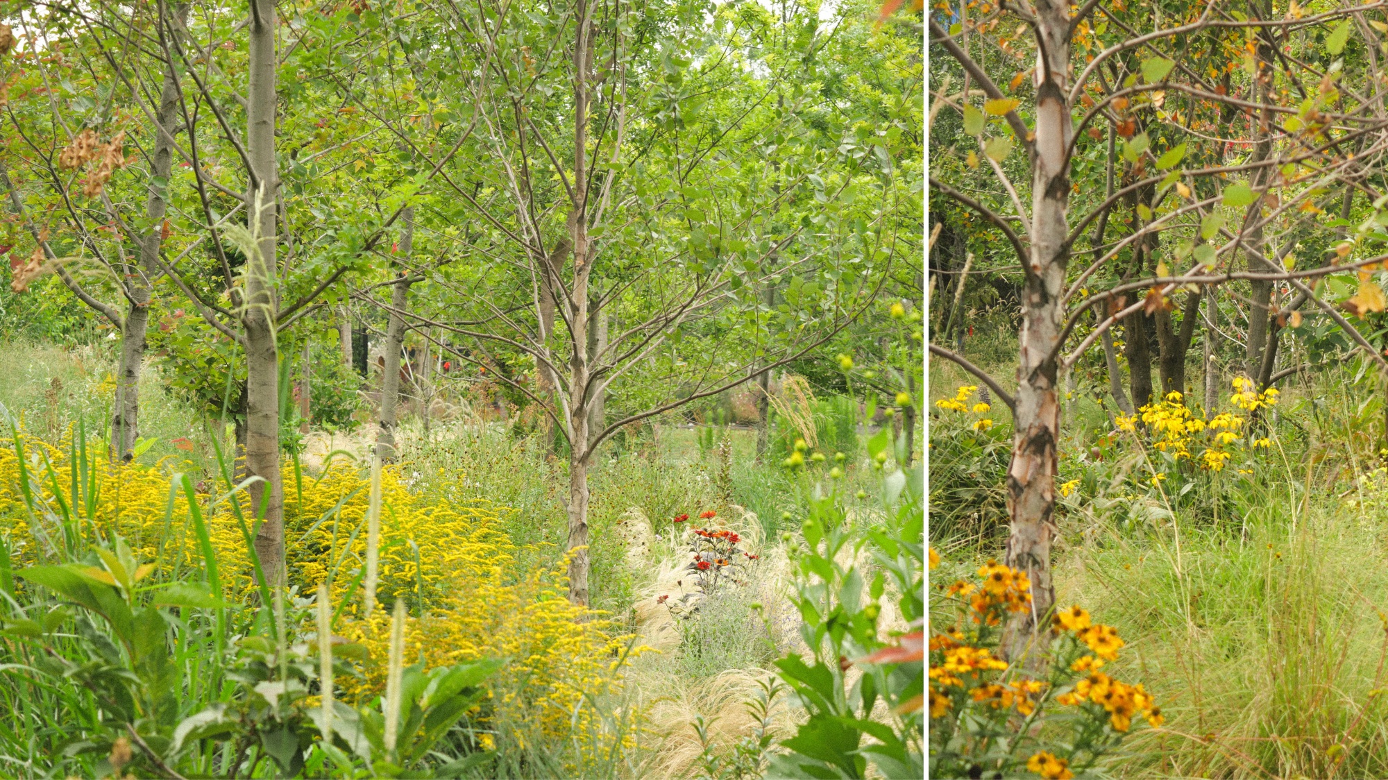 大理山下花园丨中国大理丨上海叙野景观设计有限公司-41
