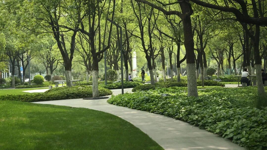 唤醒自然，天鹅重现—城市里的治愈系游园|园科作品-56