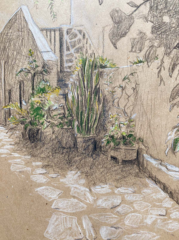 世界上的树木丨Sylvie D.-5